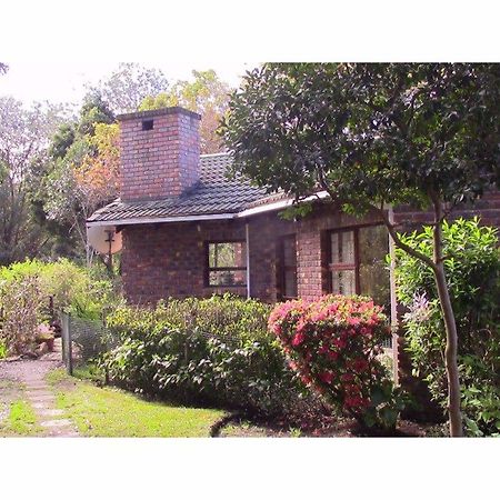 Forest Nest Stormsrivier Exterior foto